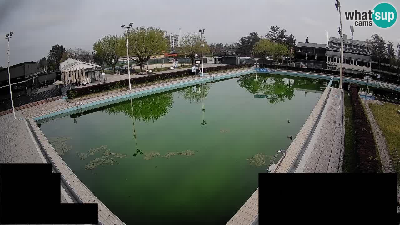 Webcam Celje – Main swimming pool