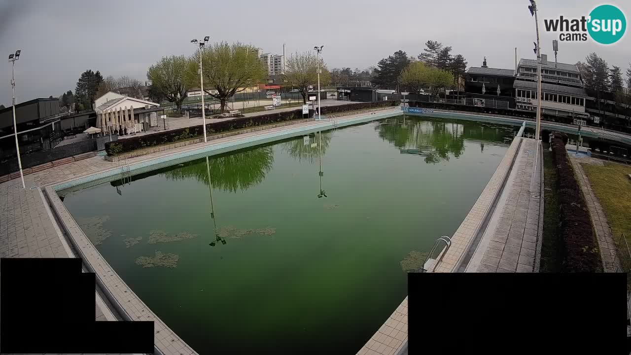 Webcam Celje – Hauptschwimmbad