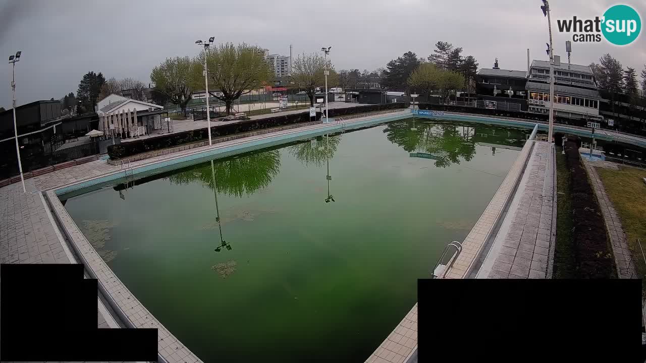 Cámara web Celje – Piscina principal