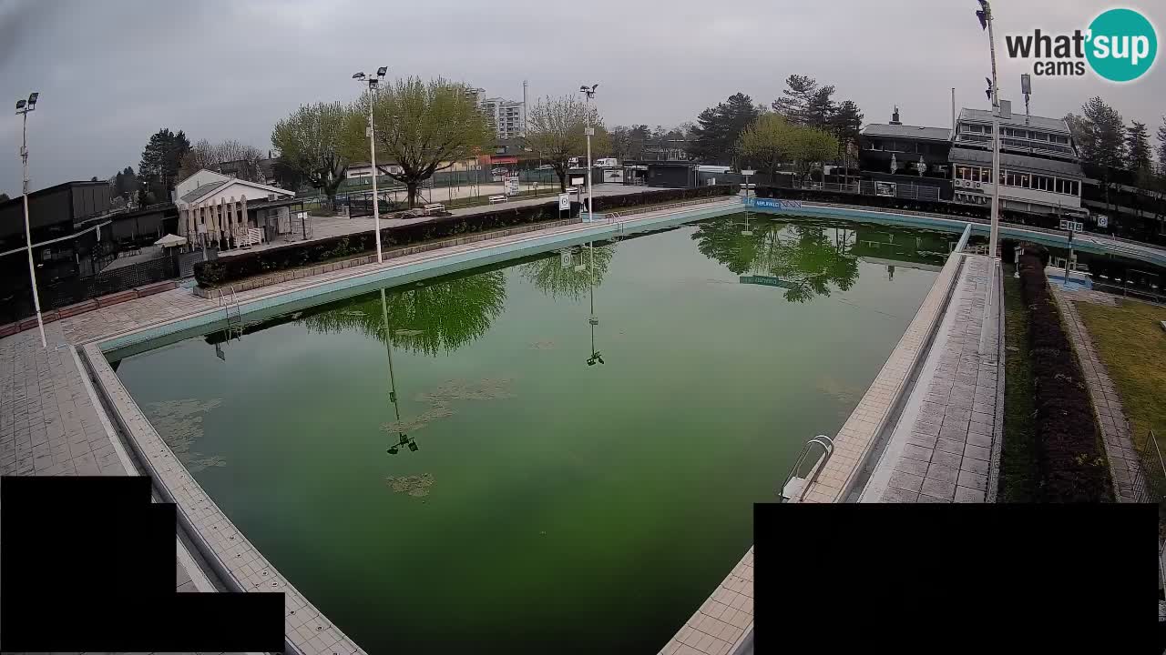 LiveCam Celje – Piscina principale