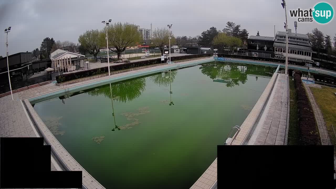 Cámara web Celje – Piscina principal