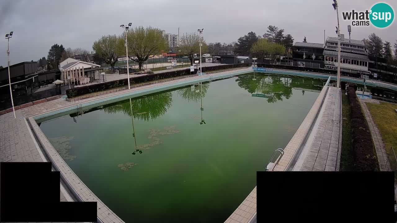 Webcam Celje – Main swimming pool