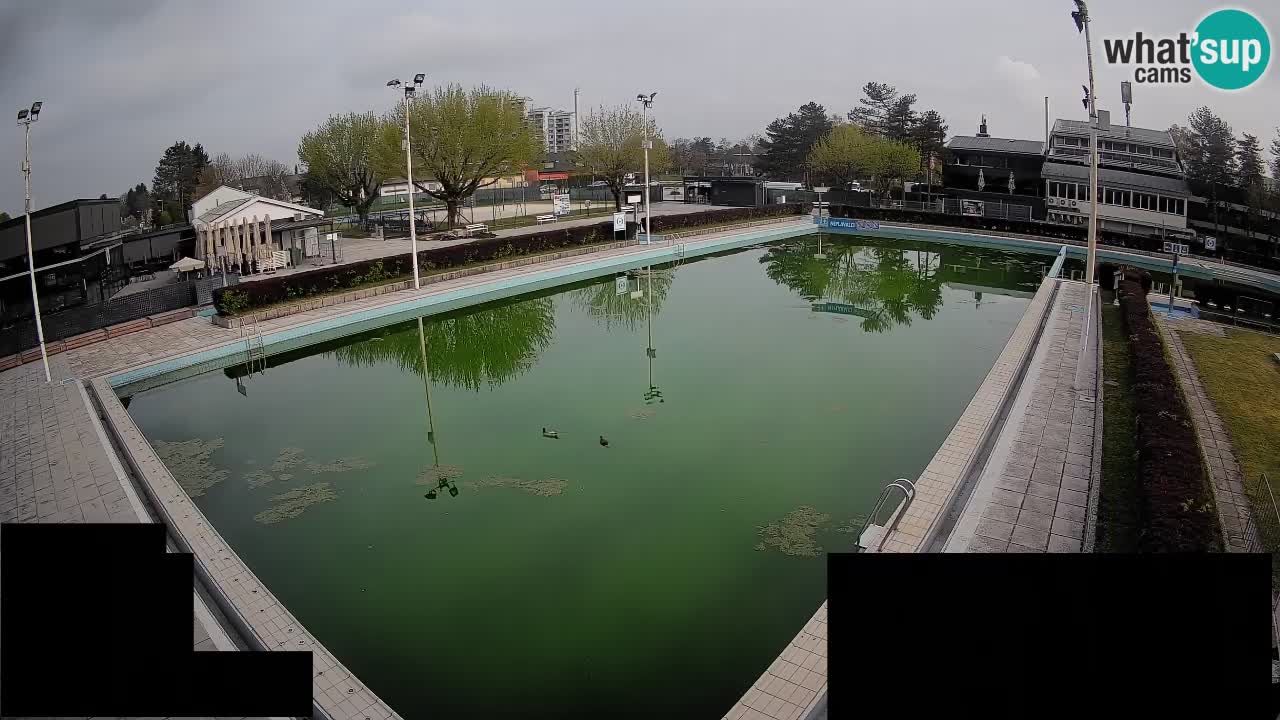 Webcam Celje – Hauptschwimmbad