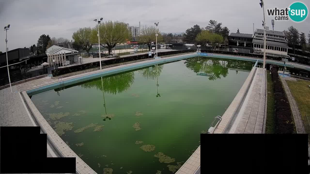 Cámara web Celje – Piscina principal