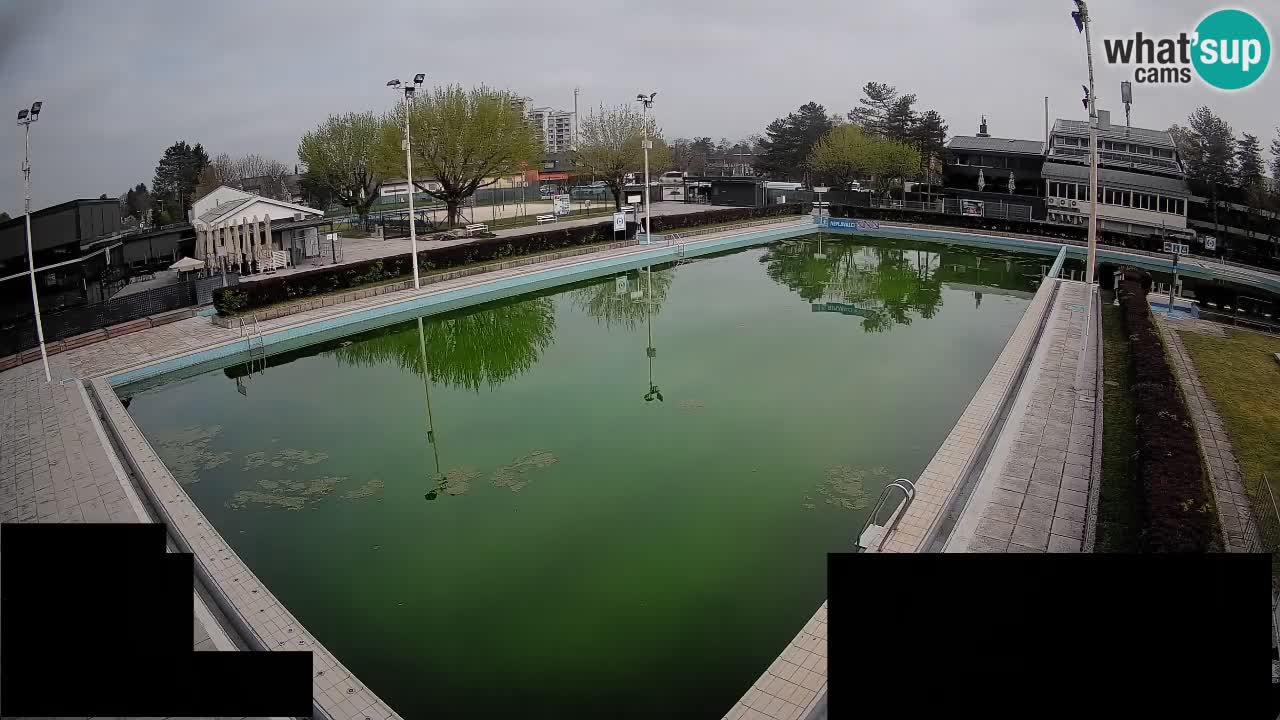 Cámara web Celje – Piscina principal
