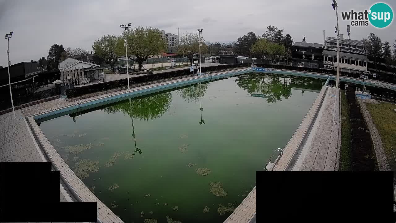LiveCam Celje – Piscina principale