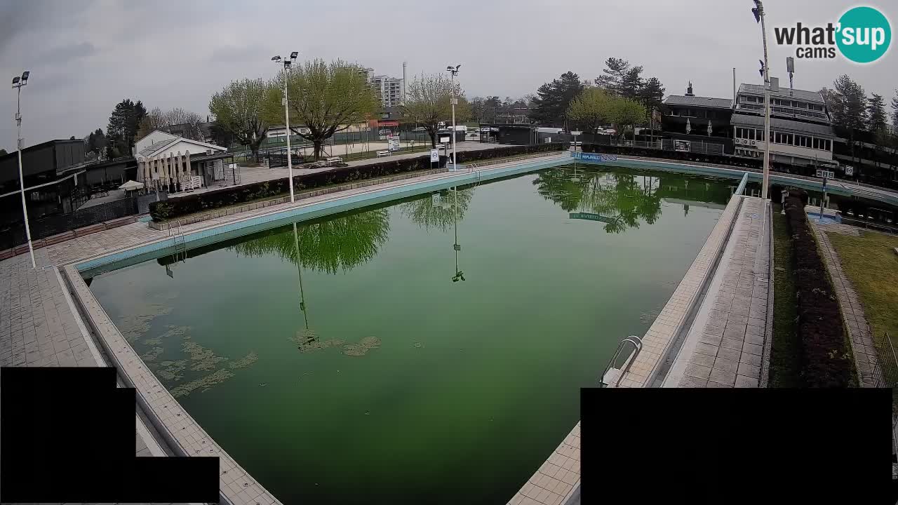 LiveCam Celje – Piscina principale