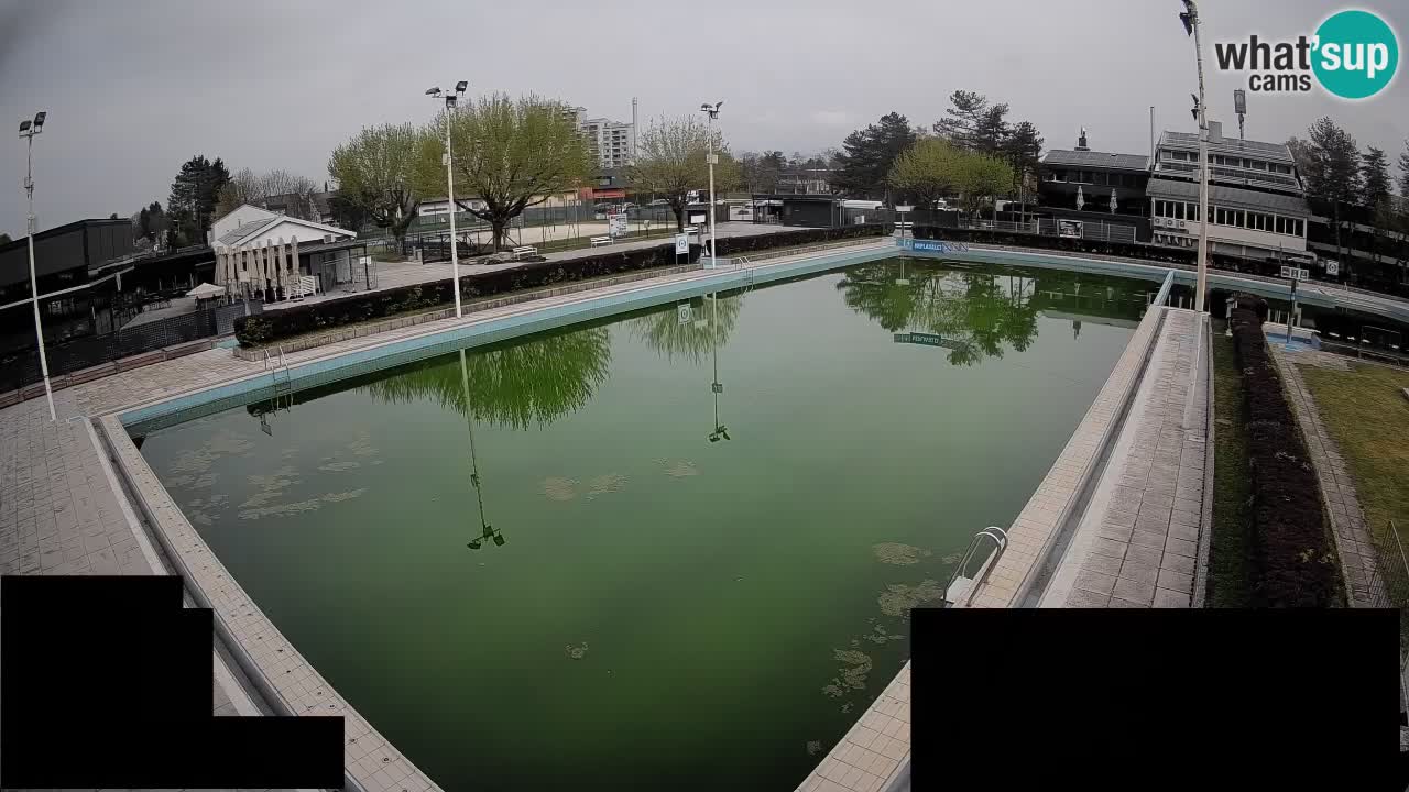 Webcam Celje – Main swimming pool