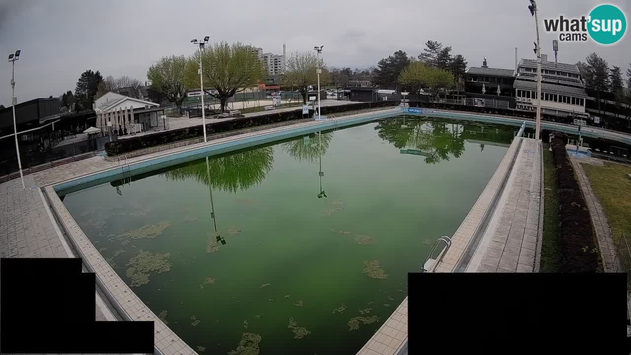 Webcam Celje – Main swimming pool