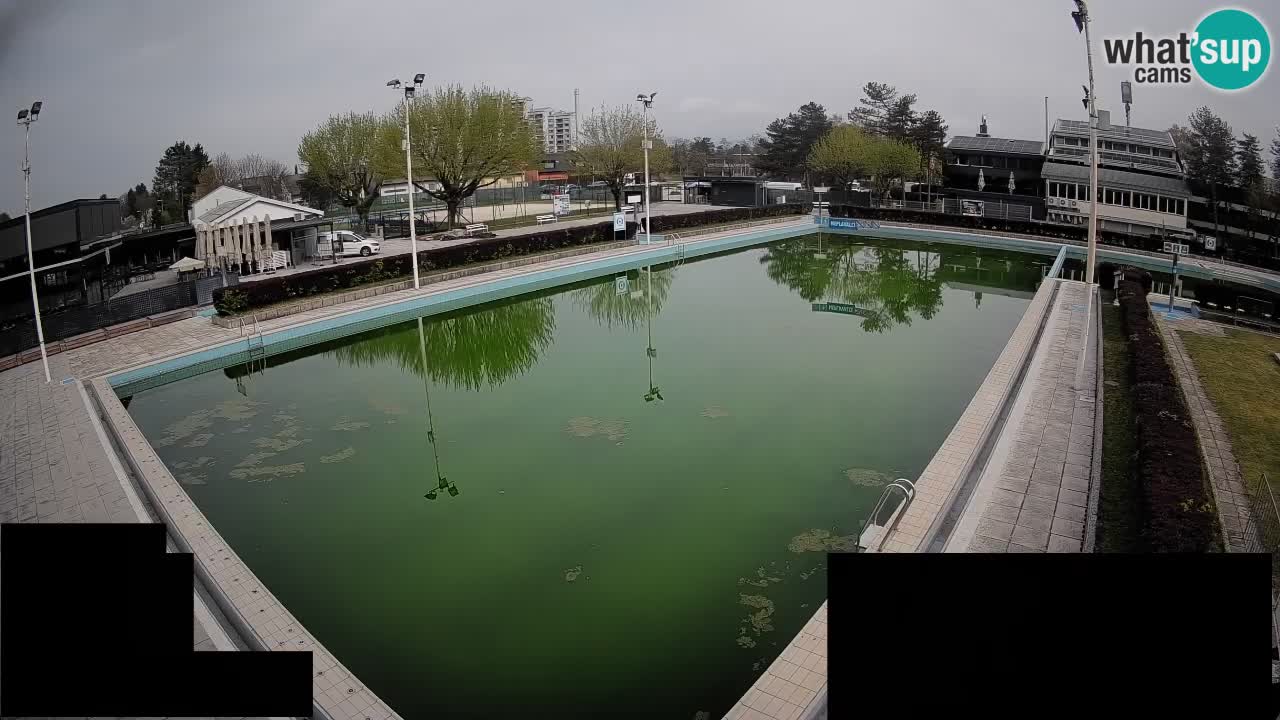 LiveCam Celje – Piscina principale