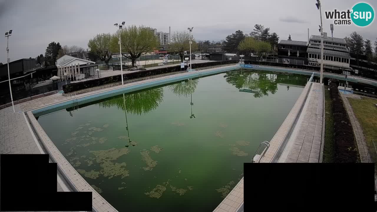 LiveCam Celje – Piscina principale
