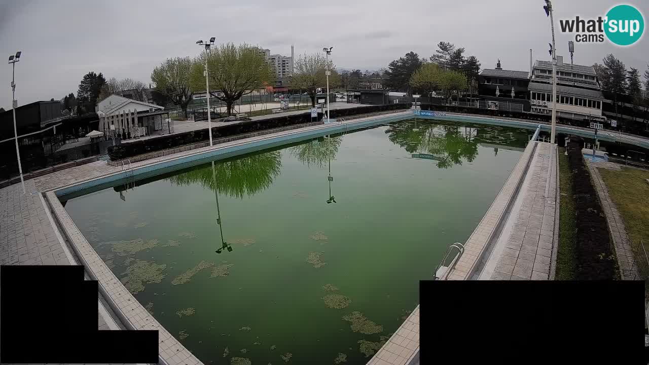 LiveCam Celje – Piscina principale