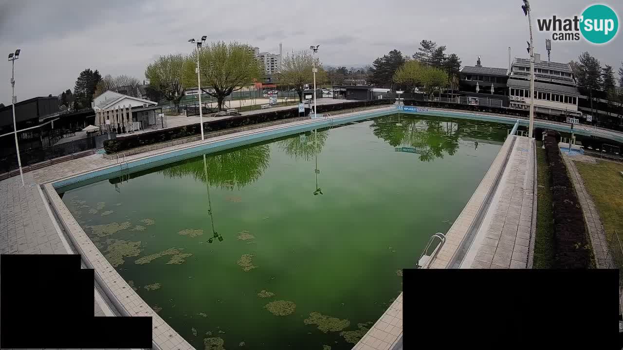LiveCam Celje – Piscina principale