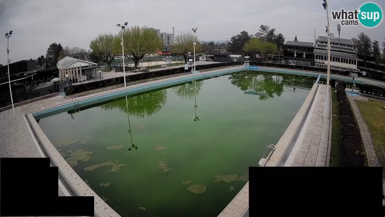 Webcam Celje – Main swimming pool