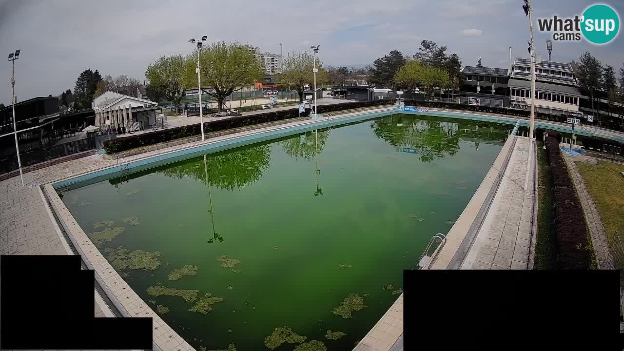 Webcam Celje – Main swimming pool