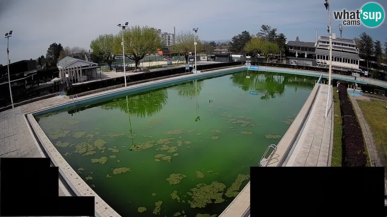 Webcam Celje – Hauptschwimmbad