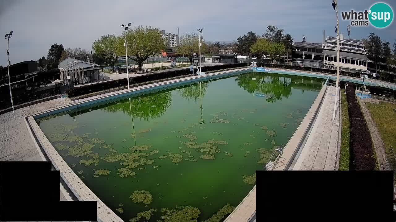 Webcam Celje – Hauptschwimmbad