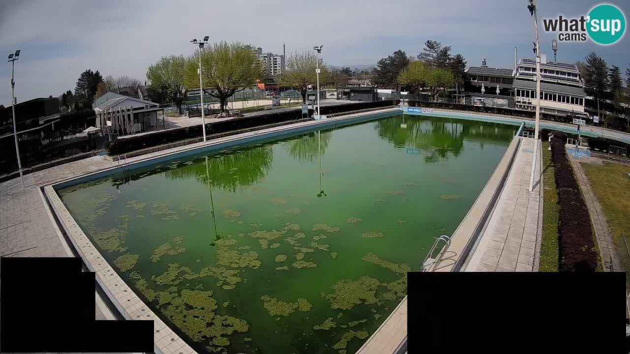 Webcam Celje – Main swimming pool