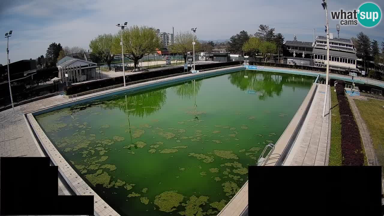 Webcam Celje – Piscine principale