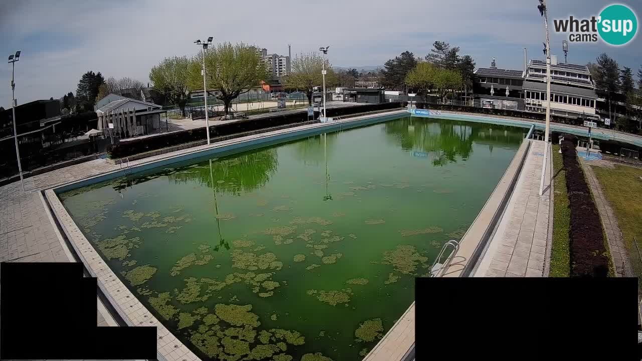 Cámara web Celje – Piscina principal