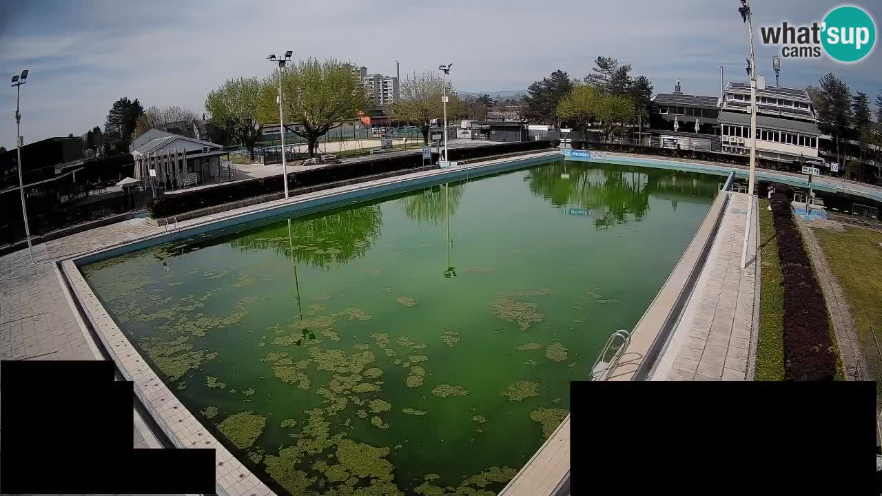 LiveCam Celje – Piscina principale