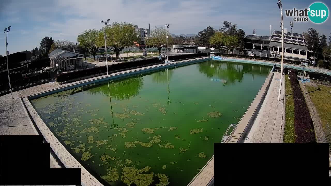Webcam Celje – Main swimming pool