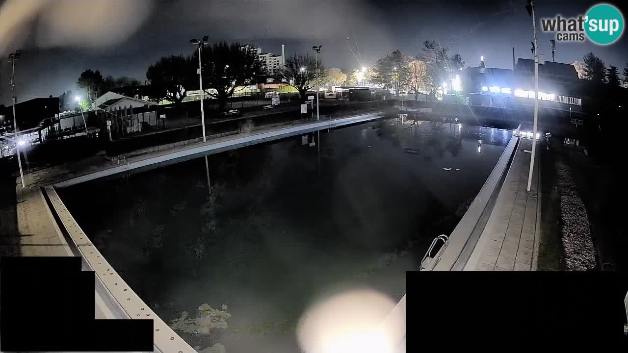 Webcam Celje – Main swimming pool
