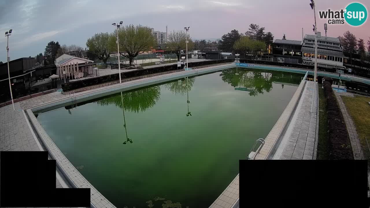 Webcam Celje – Main swimming pool