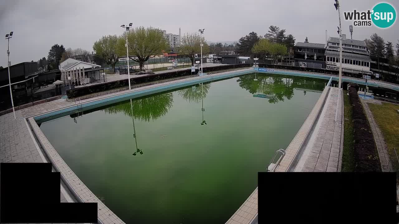 Cámara web Celje – Piscina principal