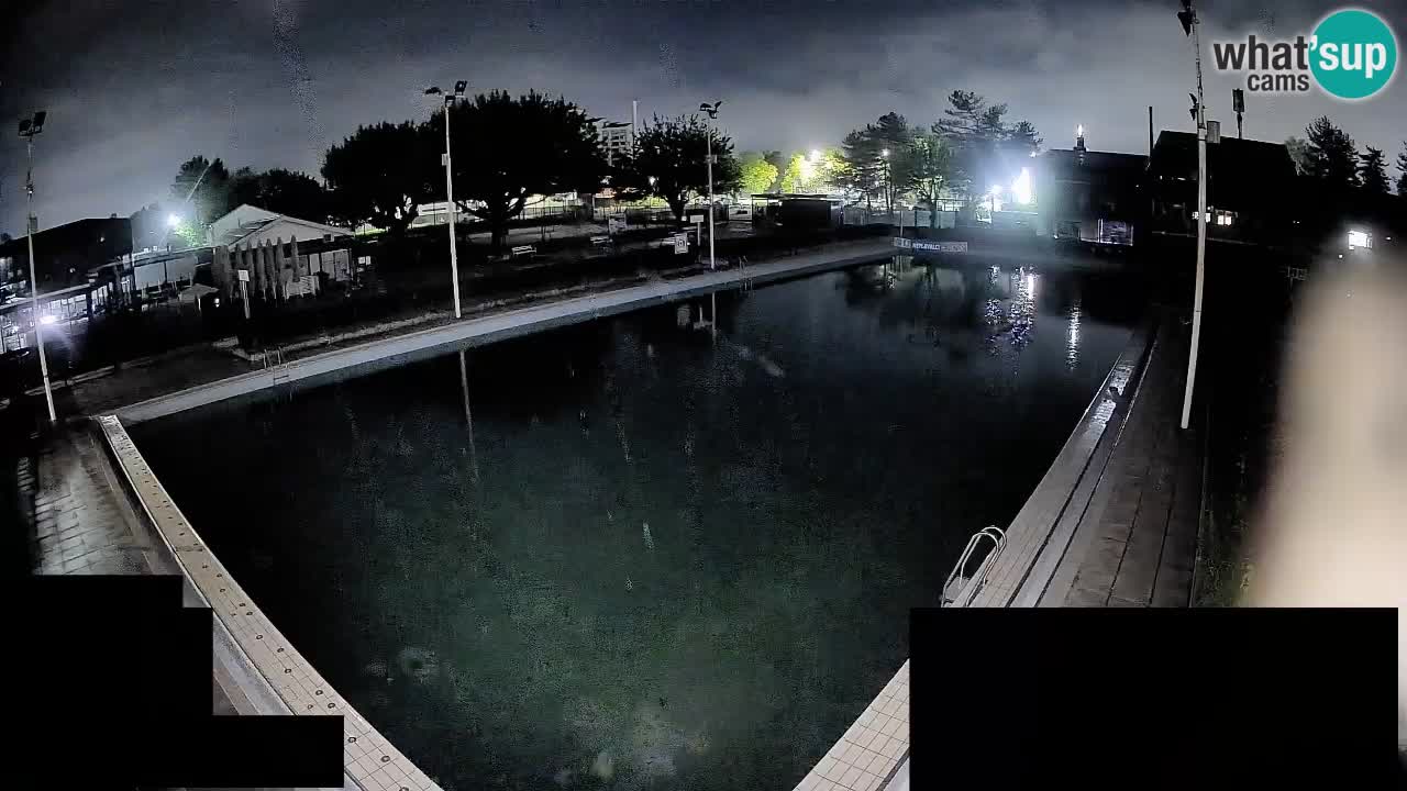 Webcam Celje – Main swimming pool