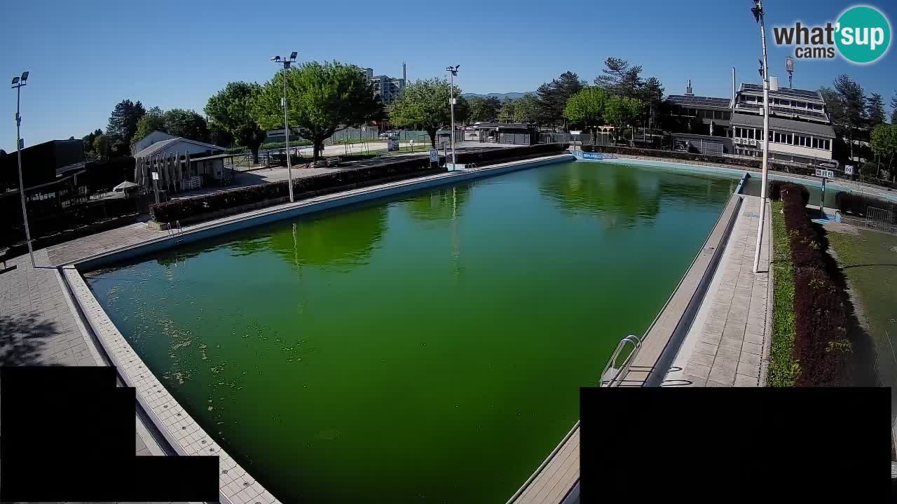 Webcam Celje – Main swimming pool