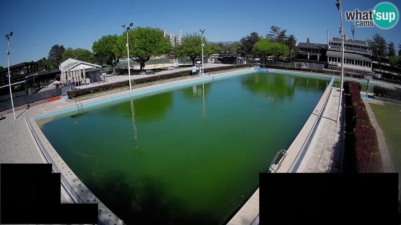 Webcam Celje – Main swimming pool