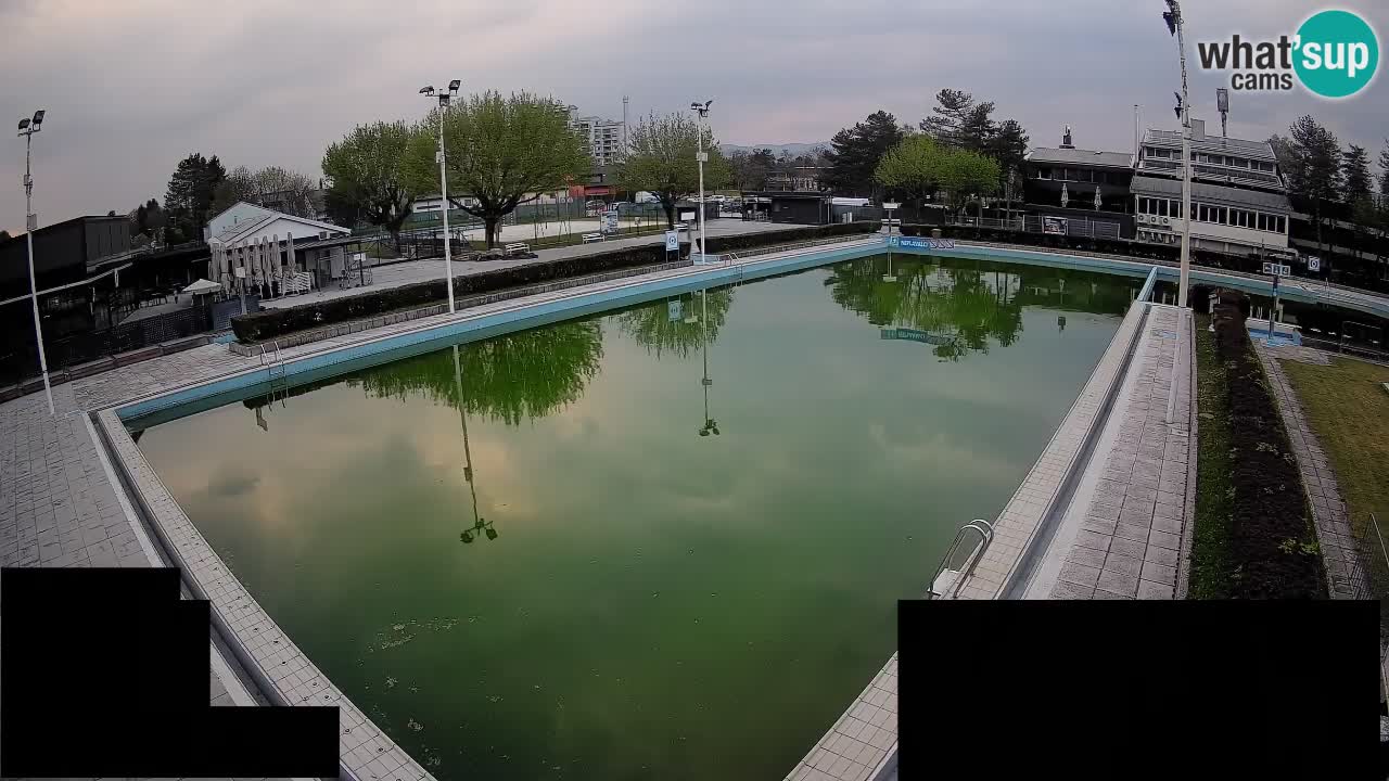 Webcam Celje – Main swimming pool