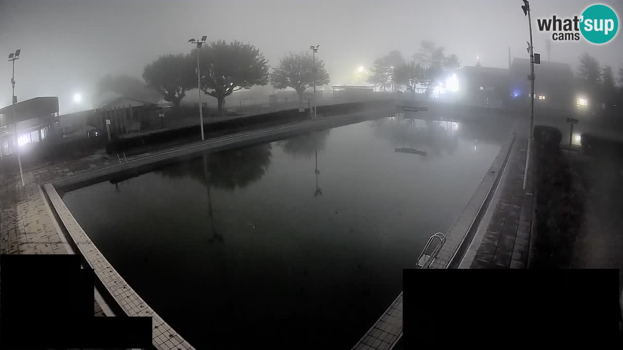 Webcam Celje – Main swimming pool