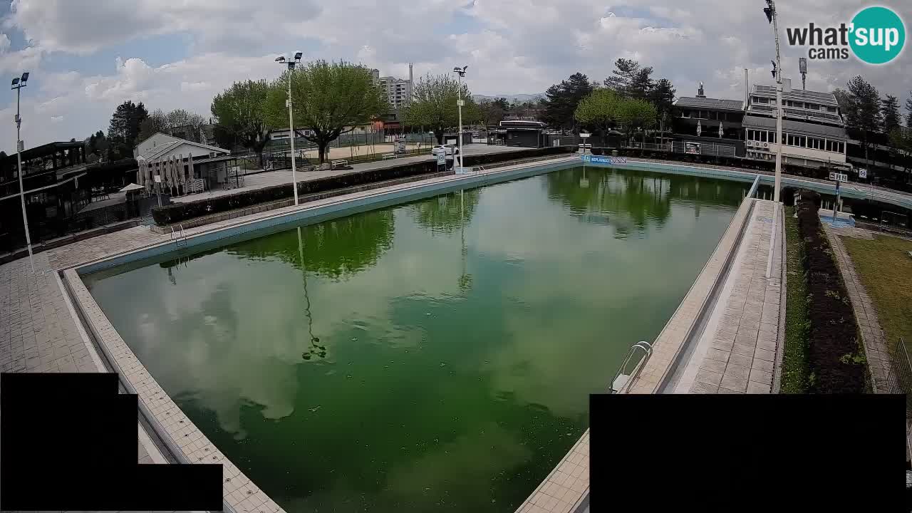 Webcam Celje – Main swimming pool