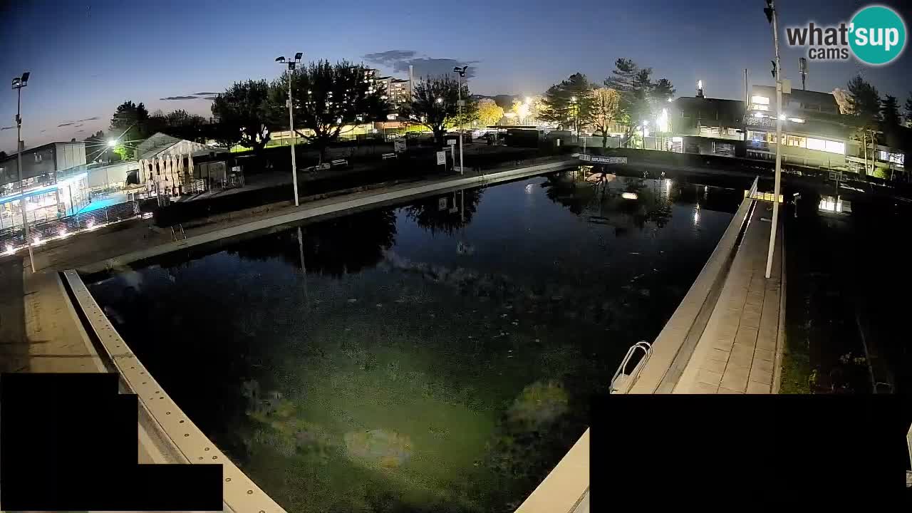 Cámara web Celje – Piscina principal