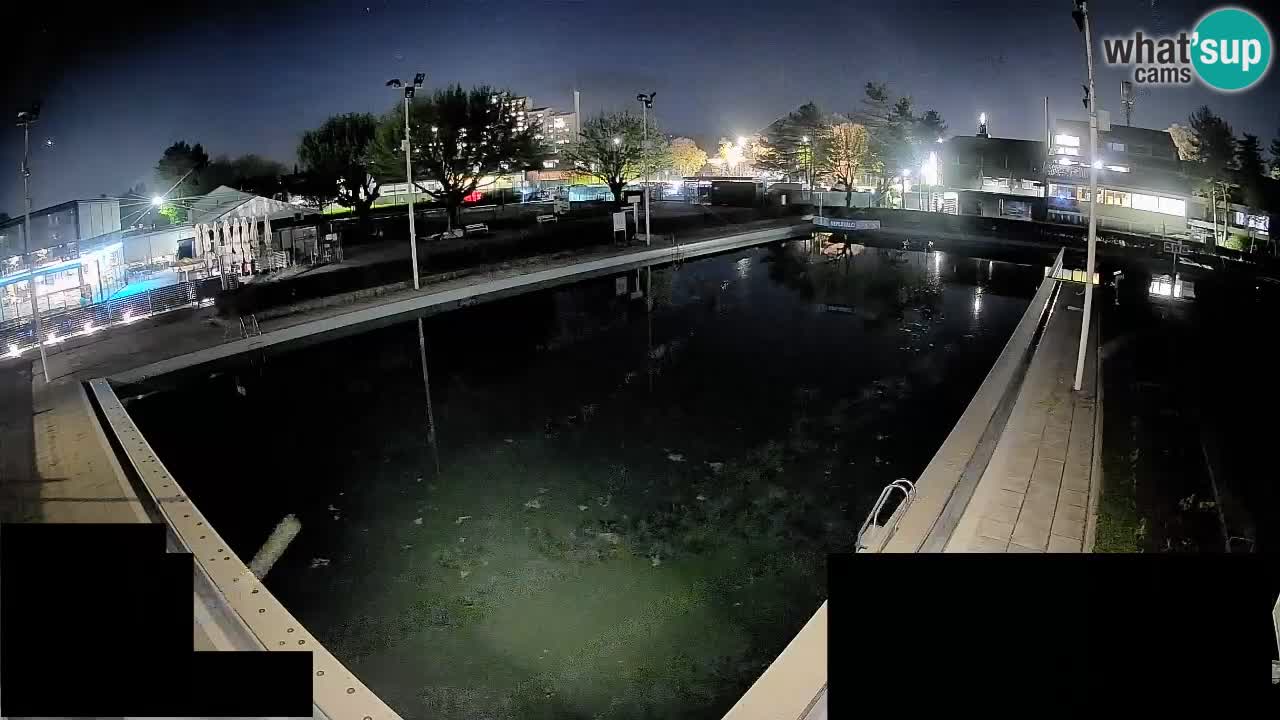 Webcam Celje – Hauptschwimmbad
