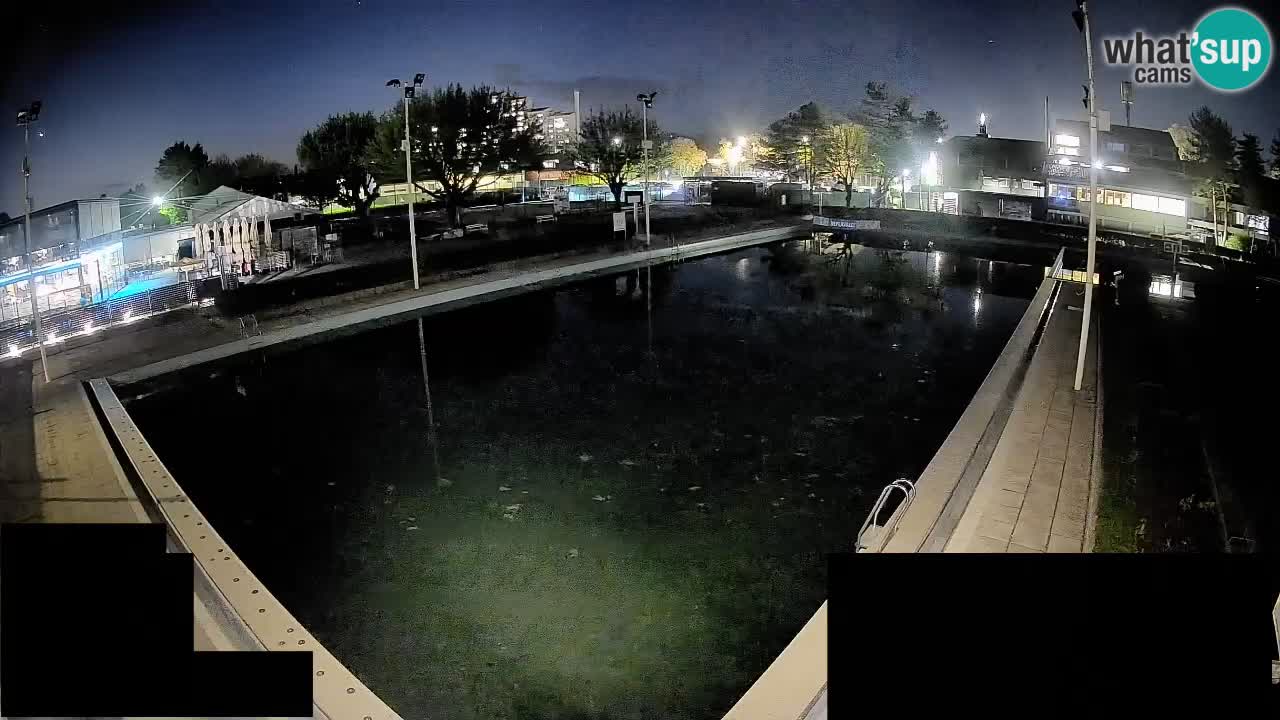 Cámara web Celje – Piscina principal