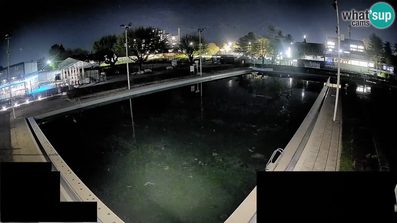 Cámara web Celje – Piscina principal