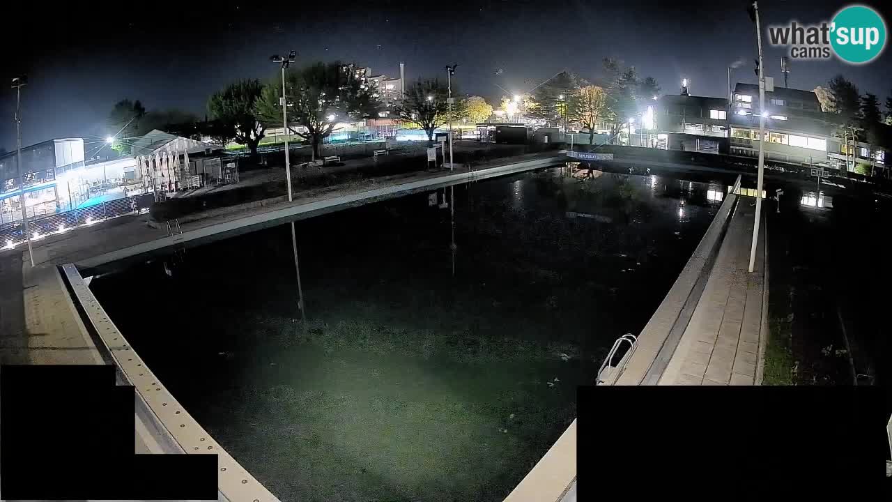 Cámara web Celje – Piscina principal