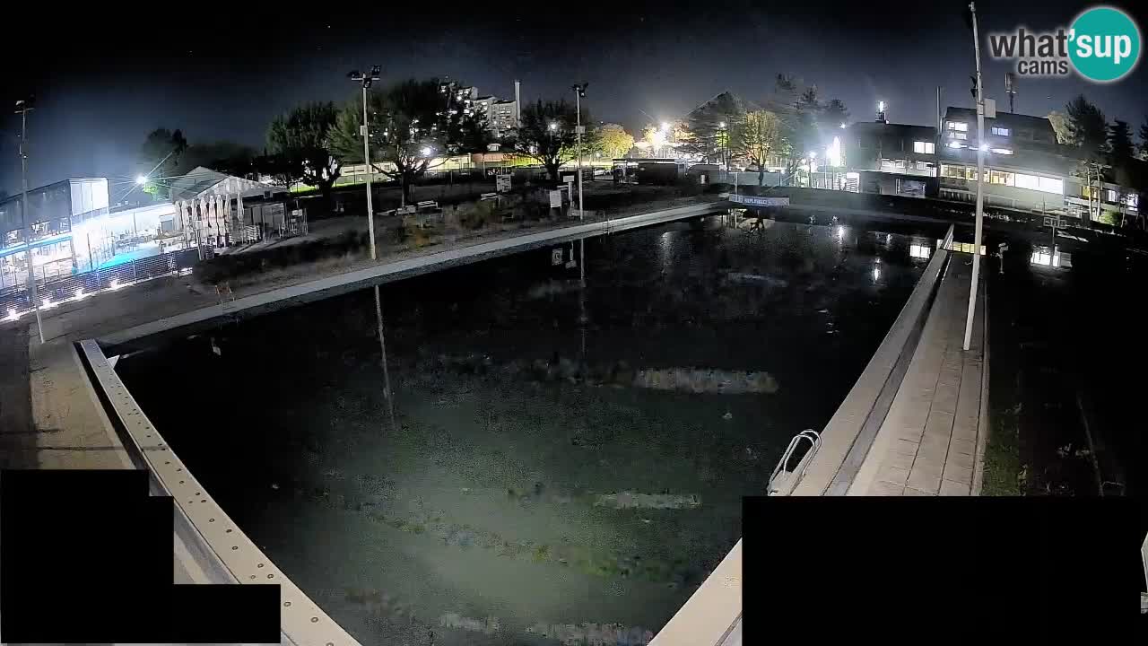 Cámara web Celje – Piscina principal
