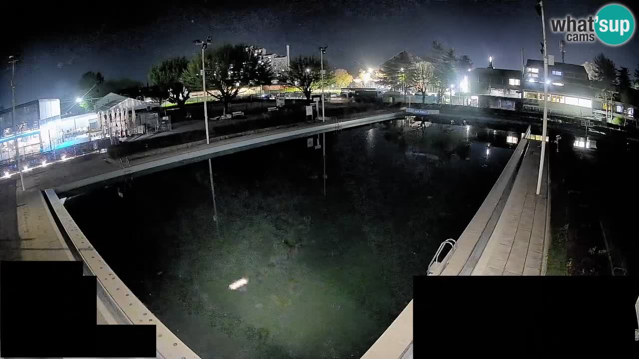 LiveCam Celje – Piscina principale