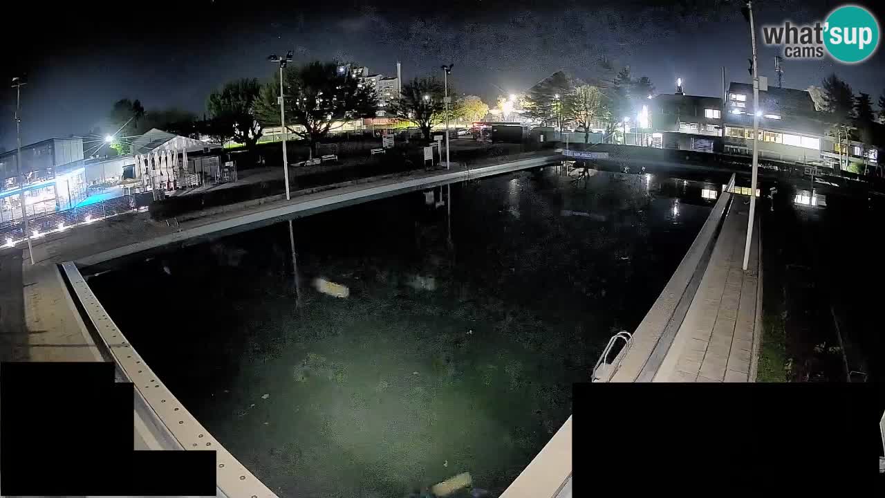 Webcam Celje – Piscine principale
