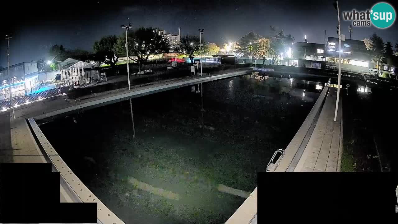 LiveCam Celje – Piscina principale