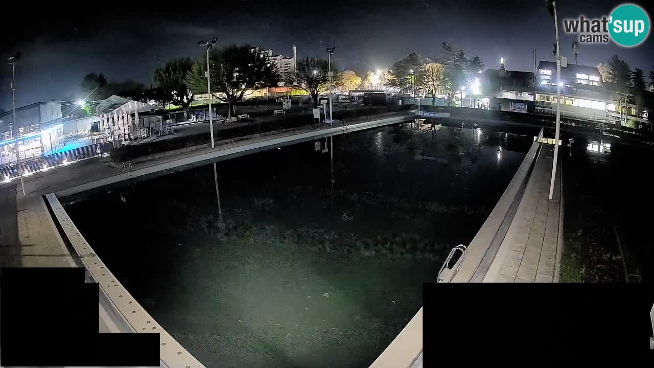 Webcam Celje – Hauptschwimmbad