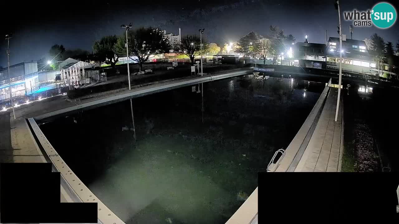 Cámara web Celje – Piscina principal