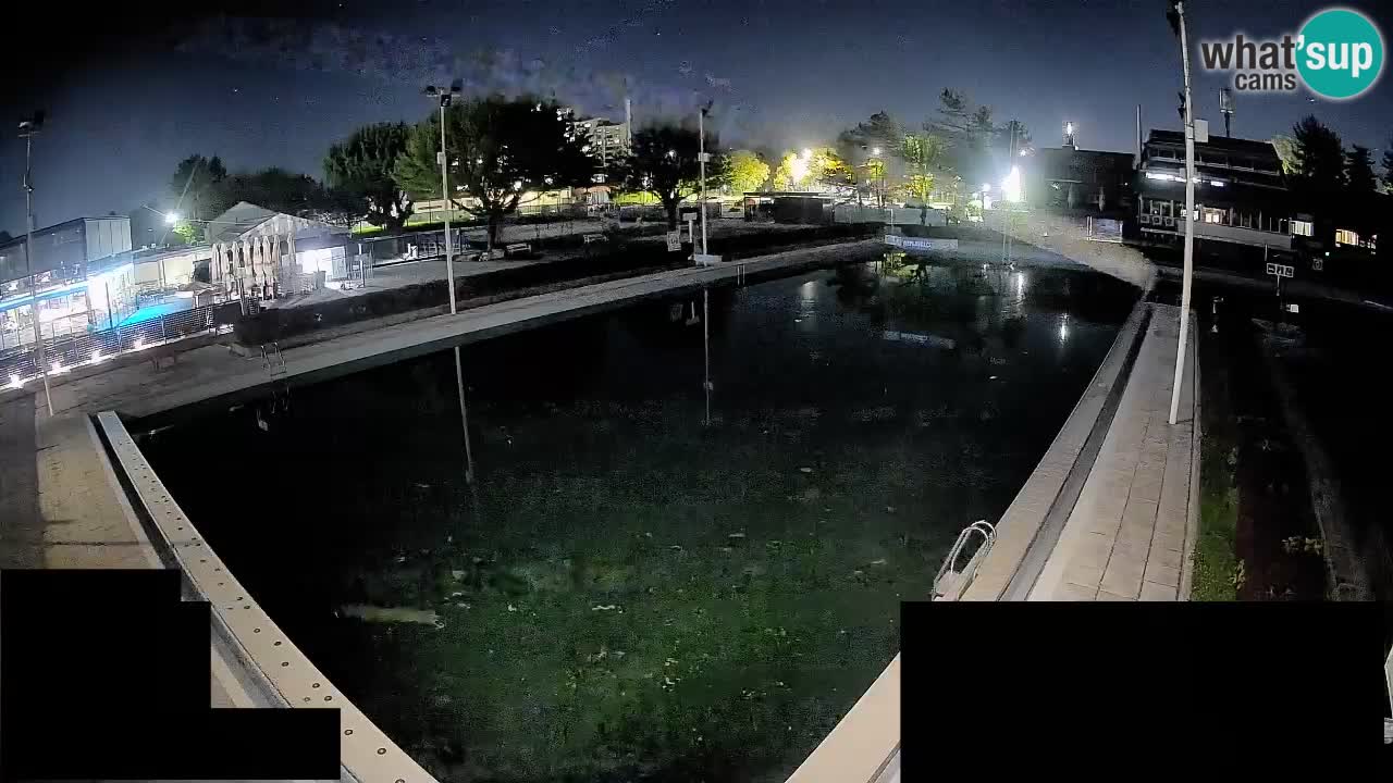 Webcam Celje – Main swimming pool