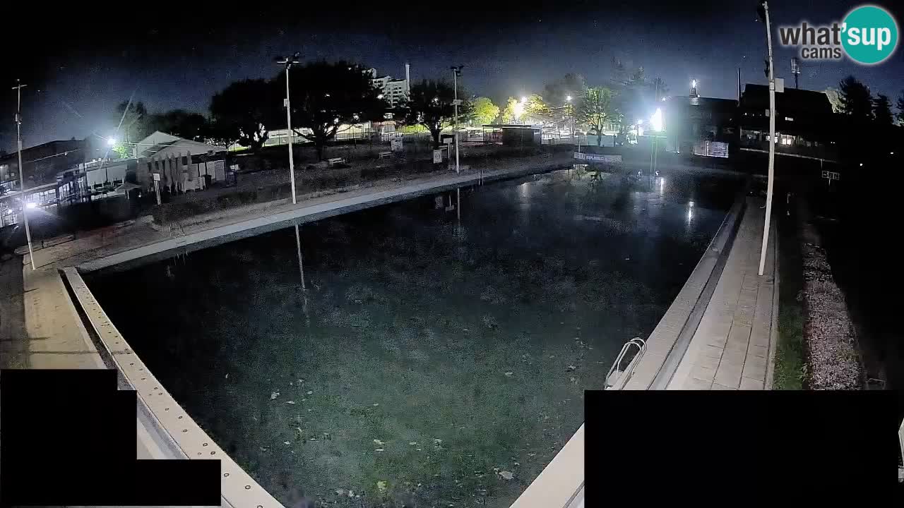 Webcam Celje – Main swimming pool