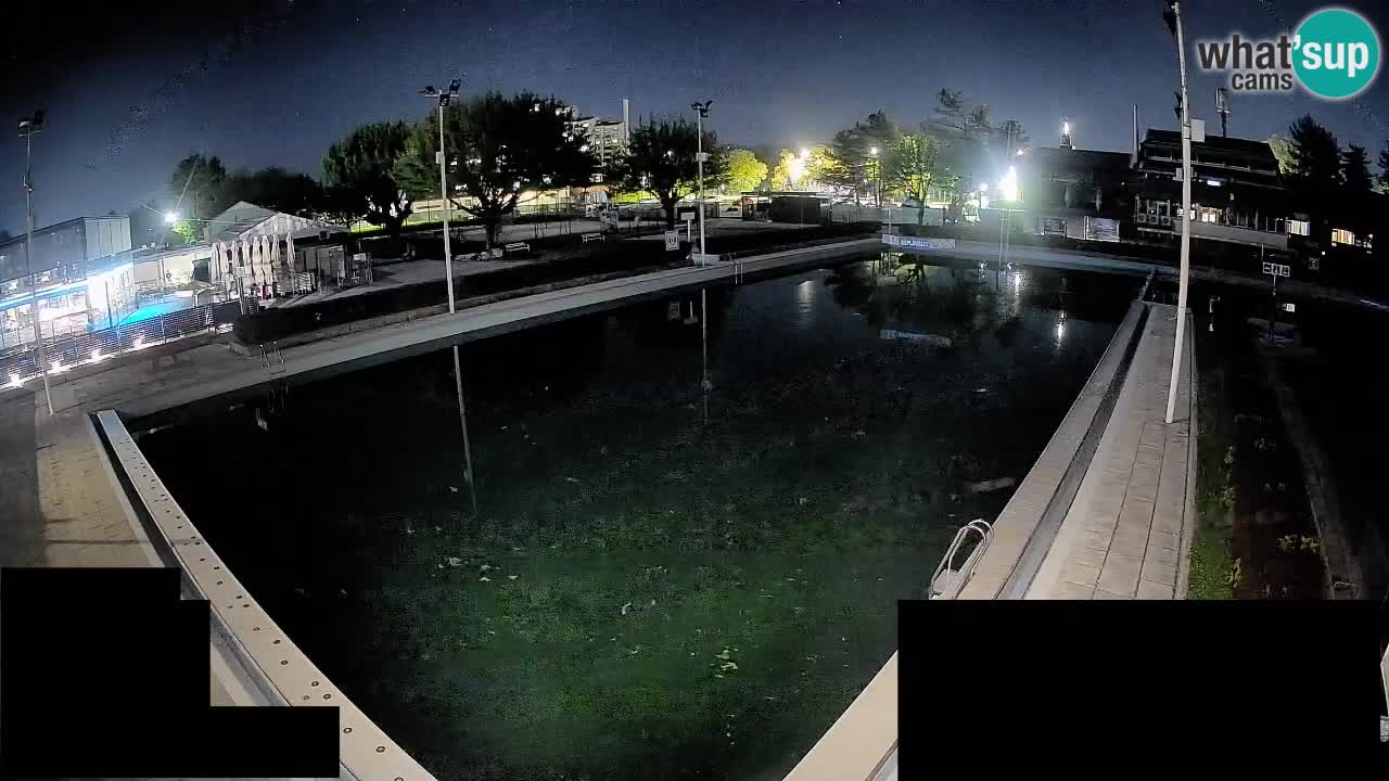 Webcam Celje – Main swimming pool