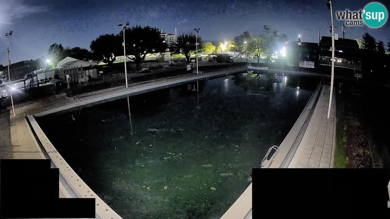Webcam Celje – Hauptschwimmbad